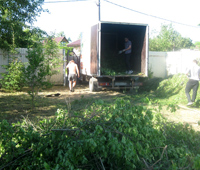 Расчистка запущенного участка в СНТ Природа в Гатчинском районе