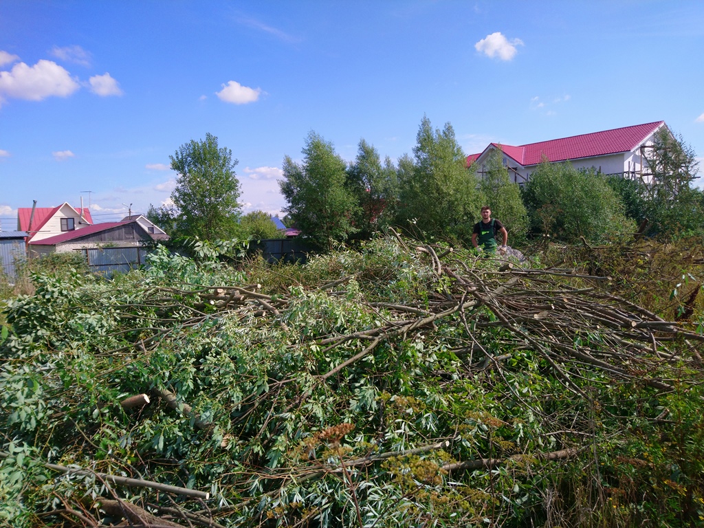 Вырубка кустарника в пос. Александровская в Пушкинском районе