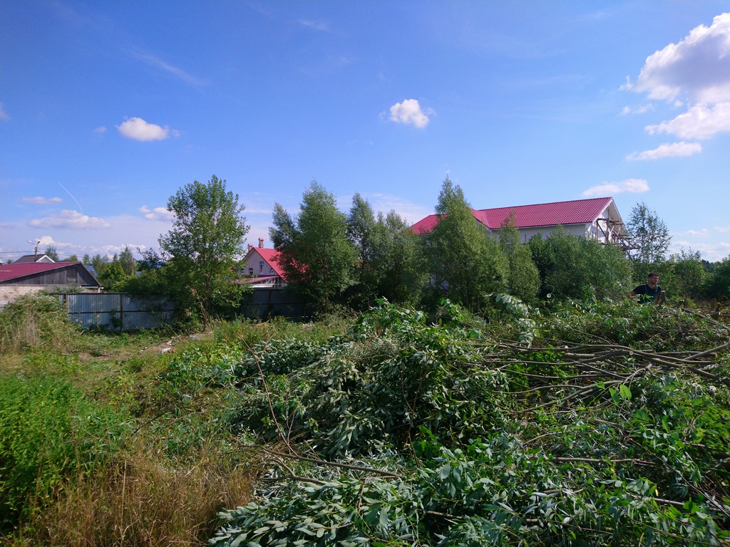 Вырубка кустарника в пос. Александровская в Пушкинском районе