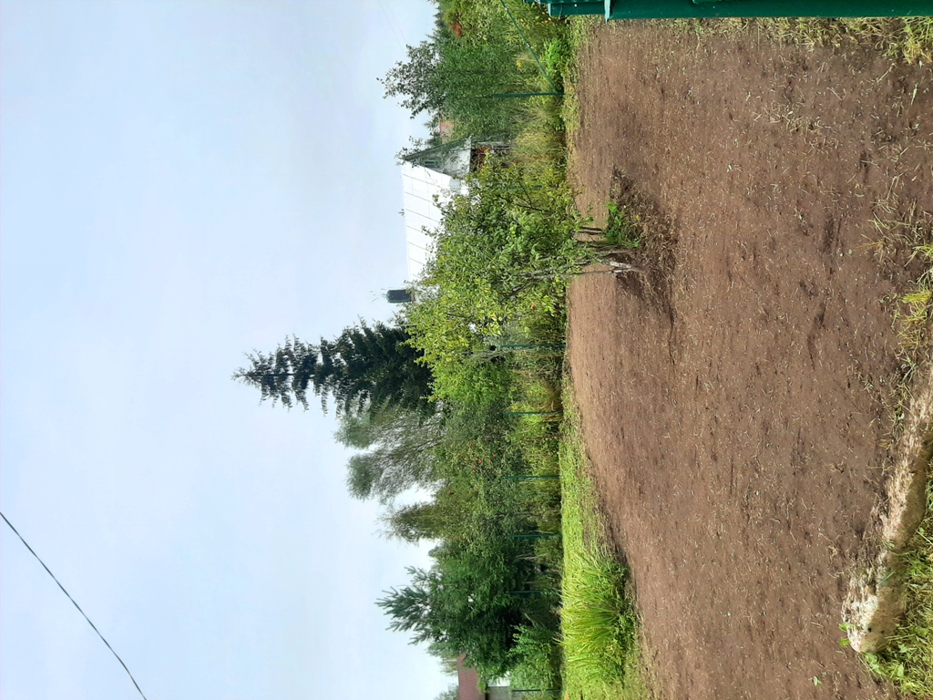 Устройство части участка под посевной газон в пос. Новинка в Гатчинском районе
