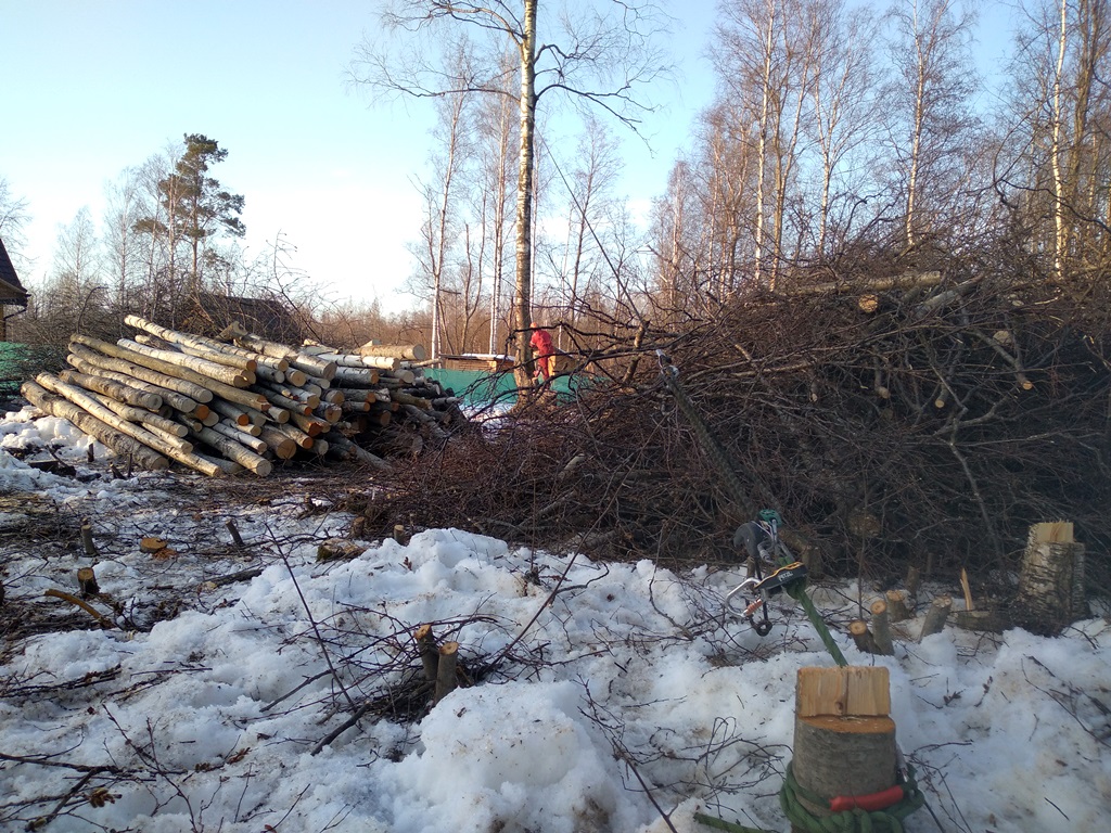 Расчистка участка в СНТ Славянка в Мгинском городском поселении