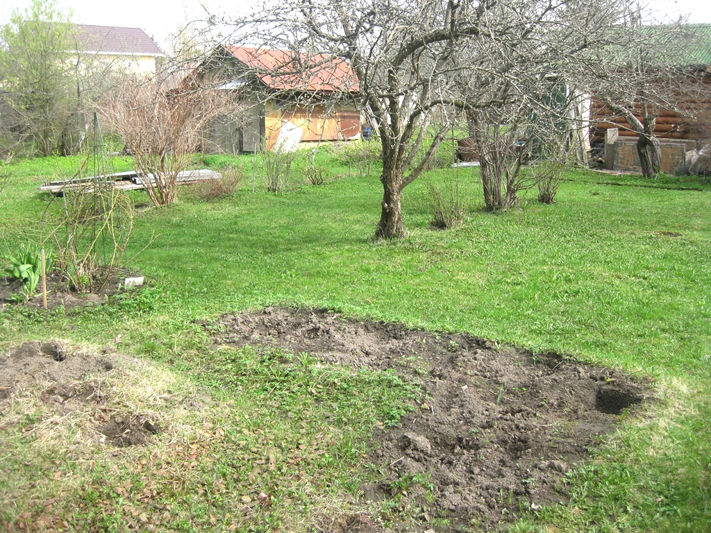 Выравнивание земли и посев газона в СНТ Приютино на Дороге Жизни