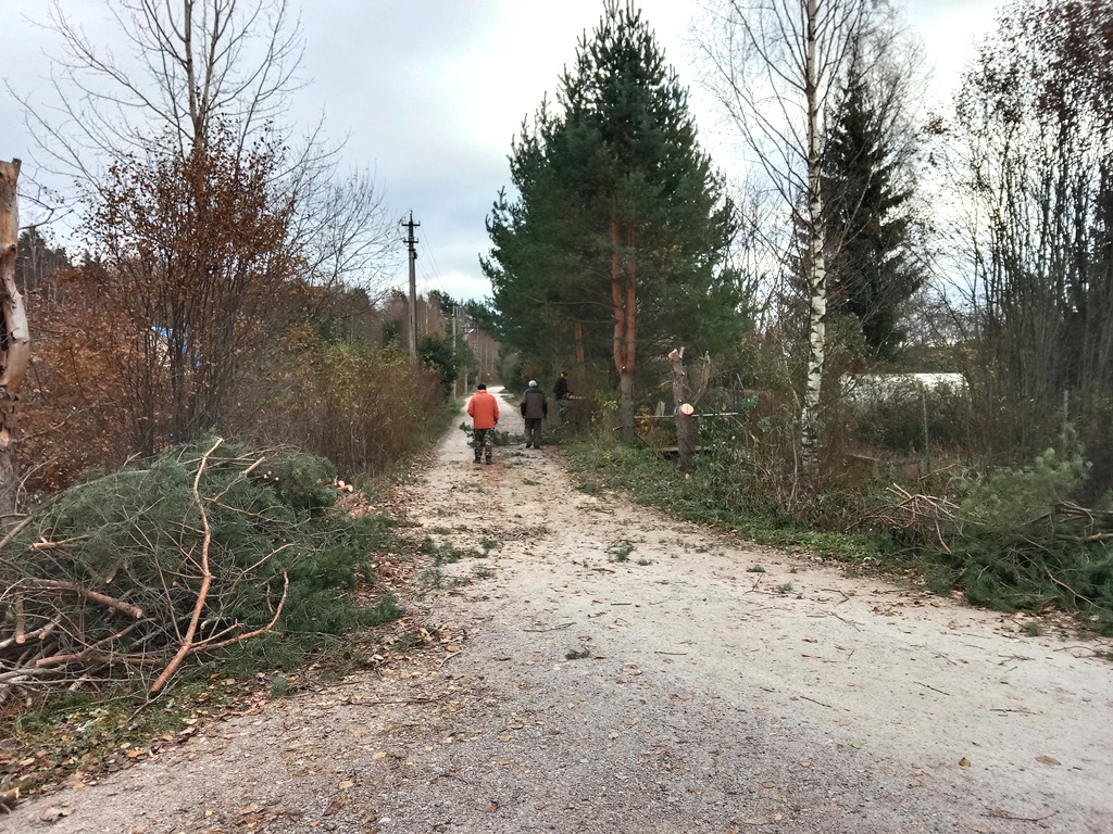 Вырубка деревьев вдоль дорог в СНТ Светлана в пос. Соловьевка